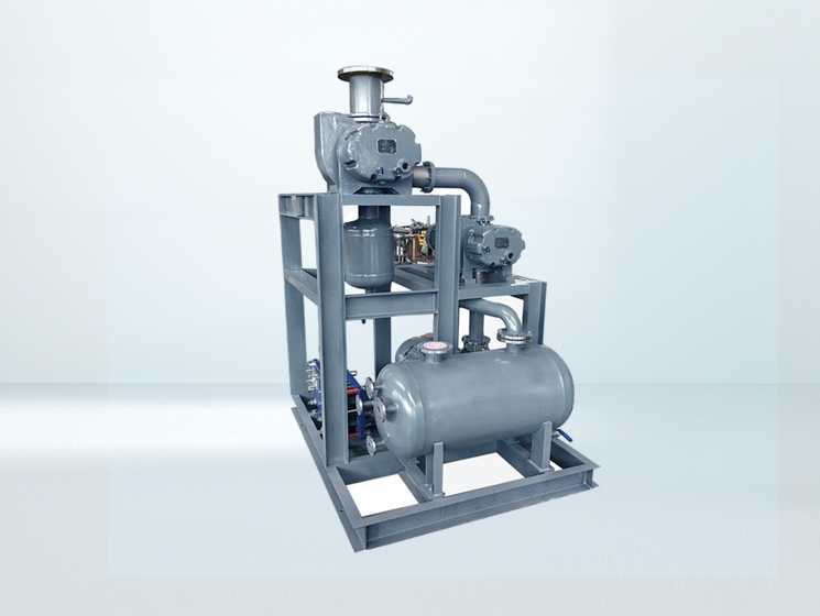 羅茨泵+水環真空泵機組